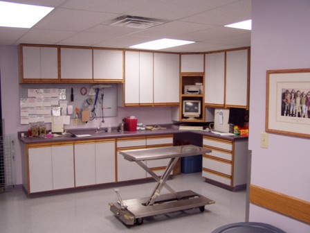 Treatment Area