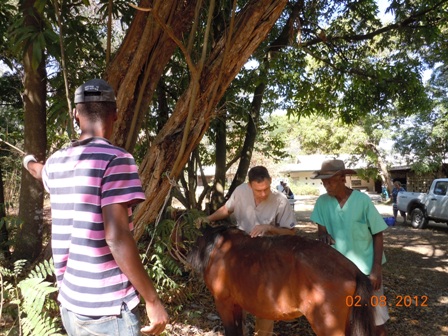 Dr. Wiley in Haiti