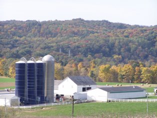 Bowman Farm