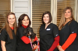 Brooke, Lenna, Holly, Misty Brooke, Lenna, Holly, Misty