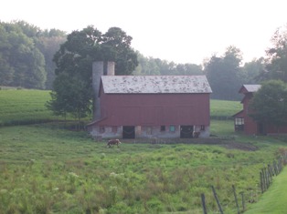 Farm